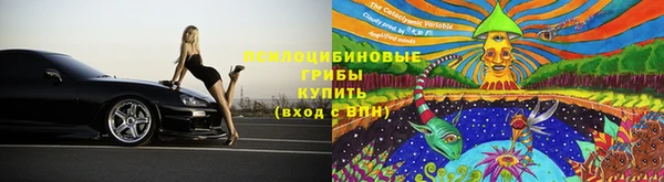 мяу мяу мука Белокуриха