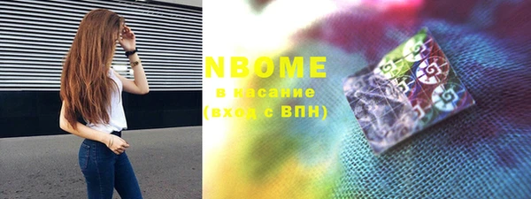 индика Слюдянка