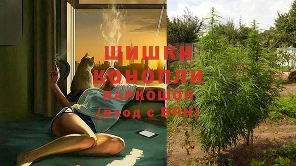 мяу мяу мука Белокуриха