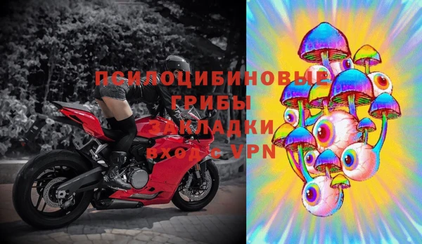 мяу мяу мука Белокуриха