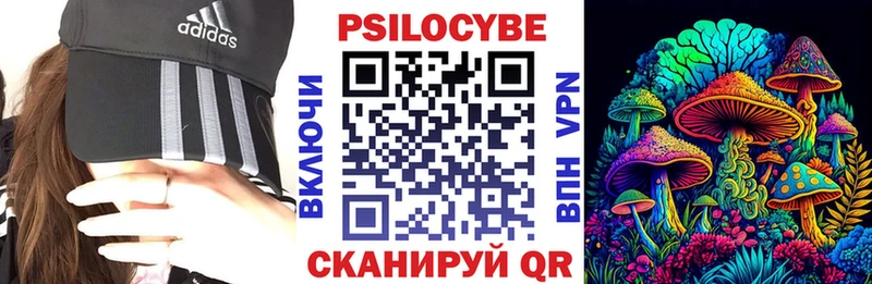 купить  цена  Светогорск  Псилоцибиновые грибы GOLDEN TEACHER 