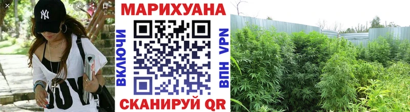даркнет Telegram купить ссылка на мегу tor Светогорск Конопля VHQ